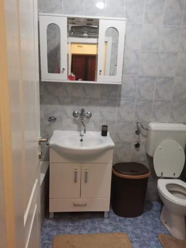 ein Badezimmer mit Waschbecken und Toilette in der Unterkunft Kole Apartman in Pale