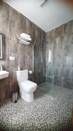 a bathroom with a toilet and a shower at Hani Ilos in Stegopul