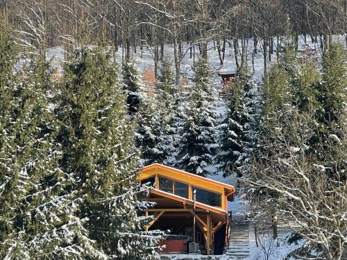 a cabin in the woods with snow on the trees at Pensiunea Hétvezér Panzió in Sub Cetate