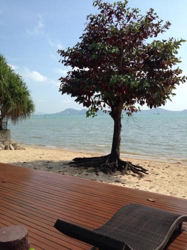 a bench on the beach with a tree on the beach at Chalong Beach Front Residence in Rawai Beach