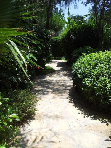a path through a garden with bushes and trees at Jasmin Apart Otel in Göcek