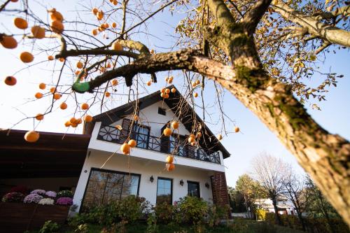 Gallery image of Villa Nora Butik Otel ve Bungalov in Bursa