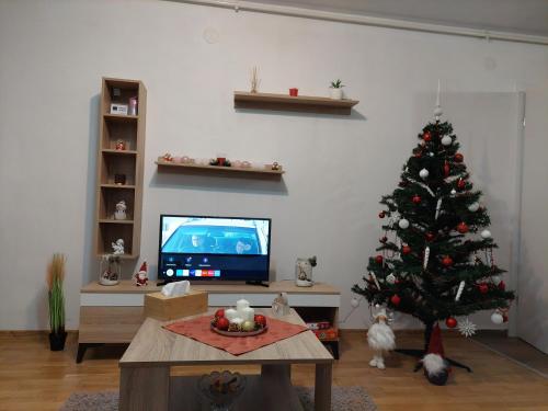 Televisyen dan/atau pusat hiburan di Apartament Ambrus