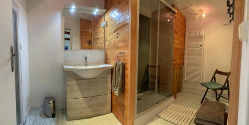 ein Bad mit einem Waschbecken und einer Dusche in der Unterkunft Ravissante suite avec parking sur place. in Pessac