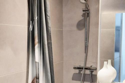 La salle de bains est pourvue d'une douche avec rideau de douche et vase. dans l'établissement Studio Croix des Gardes Palais Plages, à Cannes