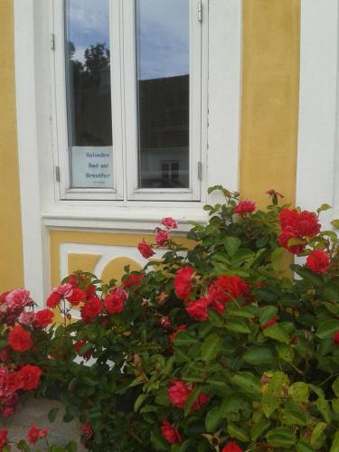 a window with red flowers in front of a building at Belvedere B&B in Svendborg