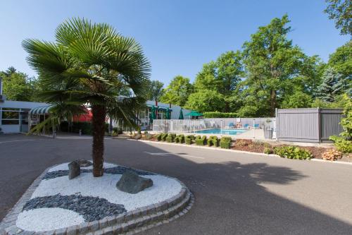 a palm tree in the middle of a road at Mercure Strasbourg Aéroport in Ostwald