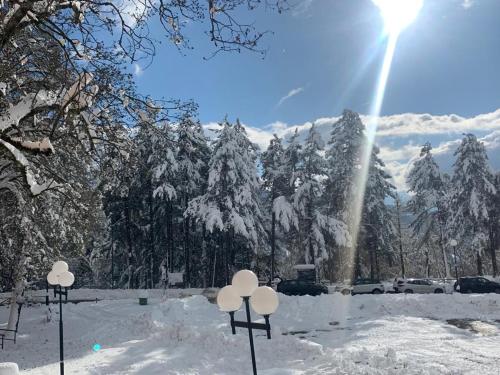 a snow covered forest with snow covered trees and the sun at Hotel Cristallo Gran Sasso in LʼAquila