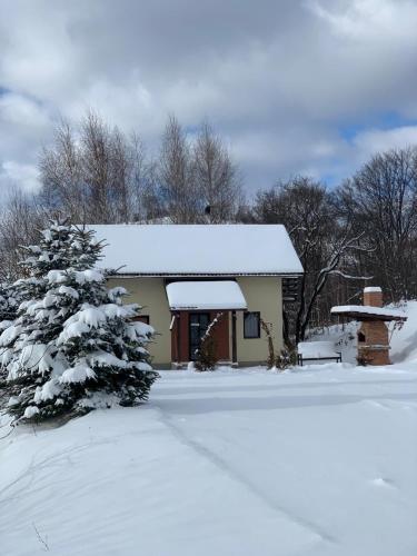 a small house with a snow covered roof at Cabana 7 Brazi in Poiana Mărului
