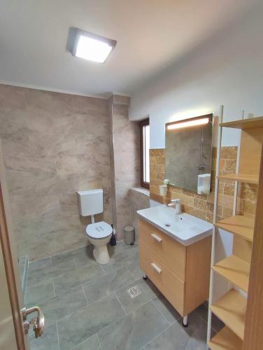 a bathroom with a toilet and a sink and a mirror at Mountain Break Azuga in Azuga