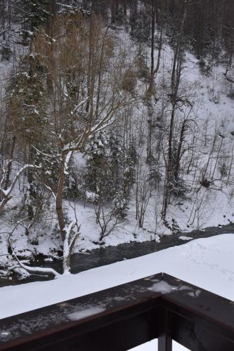 a view from a window of a snow covered forest at Mountain Break Azuga in Azuga