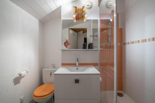 une salle de bains avec toilettes, lavabo et douche dans l'établissement Méribel Mottaret - Duplex - Plein sud - Pied des pistes, à Les Allues