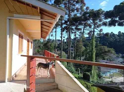a dog standing on the balcony of a house at Cantinho Feliz a 900m do Capivari in Campos do Jordão