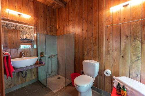 a bathroom with a toilet and a sink and a shower at Anastasia House in Nimfasía