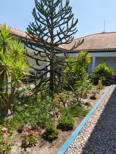 a garden with a tree and flowers in front of a building at Casa Zanzibar Hotel in Landeira