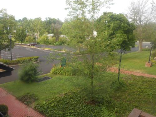 a view of a street with a tree in the grass at Century Suites Hotel in Bloomington