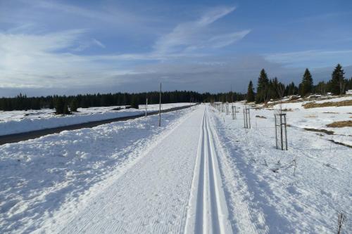 a snow covered road with tracks in the snow at SCANDIC Apartments Boží Dar in Boží Dar