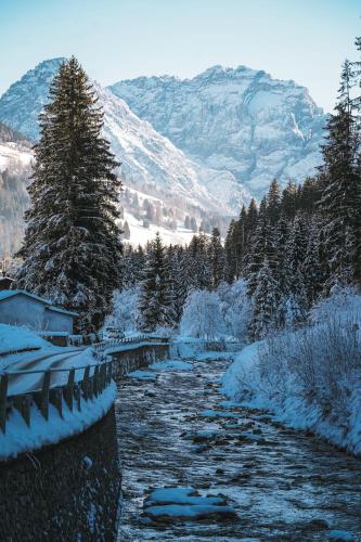 a river with snow covered trees and mountains in the background at Lärchenwirt Dolomites in San Nicolò di Comelico