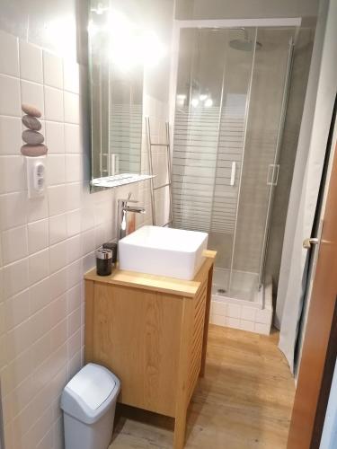 une salle de bain avec un lavabo, une douche et des toilettes dans l'établissement Studio 4 personnes, à Saint-Lary-Soulan
