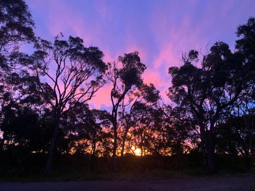 a sunset with trees and a purple and pink sky at Panoramata @ Caves Beach in Caves Beach