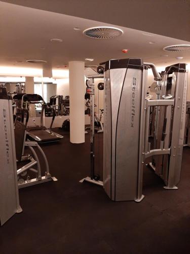 Gimnasio o equipo deportivo en Studio Diamondlux Vrnjačka Banja