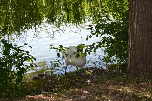 Hotel Restaurant des Lacs – Photos 3