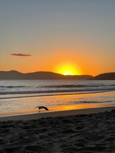 a seagull walking on the beach at sunset at Pousada Areias do Pero in Cabo Frio
