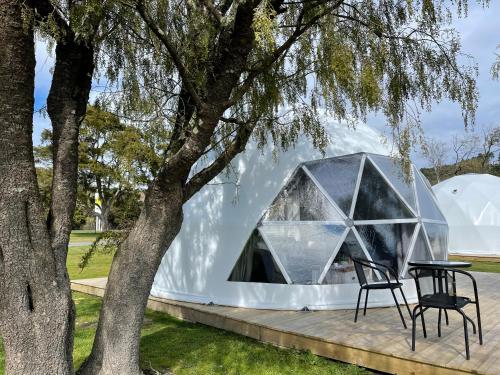 Zahrada ubytování Motutere Bay TOP 10 Holiday Park
