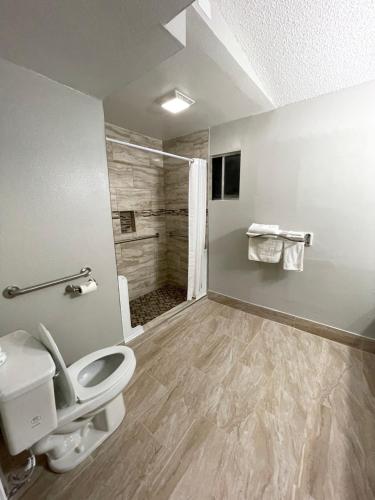 ein Bad mit einem WC und einer Dusche in der Unterkunft Hamilton Inn in Hamilton