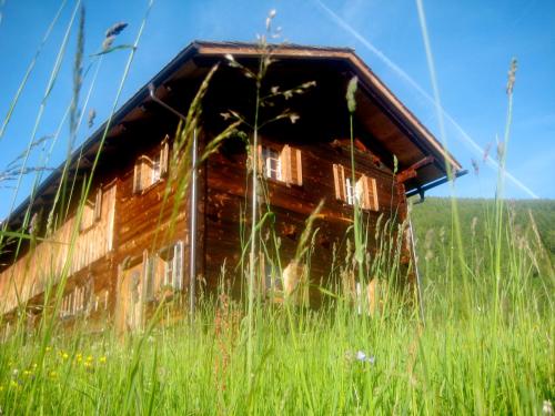 an old barn sitting in a field of tall grass at Almhütte Gorgasser in Heiligenblut