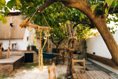 amaca appesa a un albero in un giardino di FLANEUR HOSTEL a Antalya (Adalia)