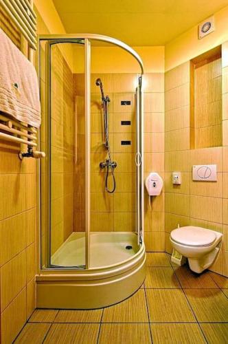 a bathroom with a shower and a toilet at Rezydencja 5 Dębów in Międzyzdroje