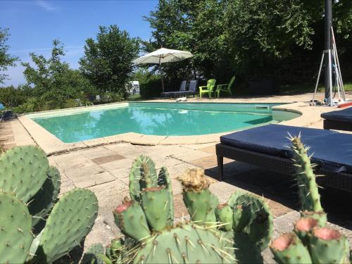 a swimming pool in a yard with a cactus at Les Gonies - Amande in Mauroux