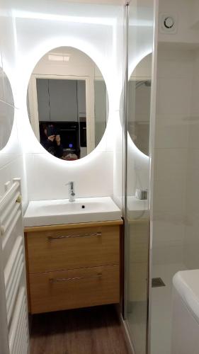 une salle de bain avec un lavabo et un miroir dans l'établissement Appartement confortable avec vue sur la mer à Quiberon - 25 m², à Quiberon