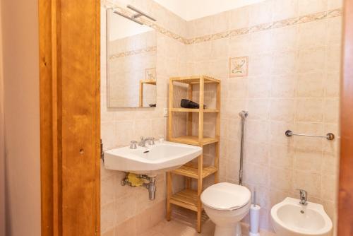 a bathroom with a sink and a toilet and a mirror at Ca' Milijera in Cortina dʼAmpezzo