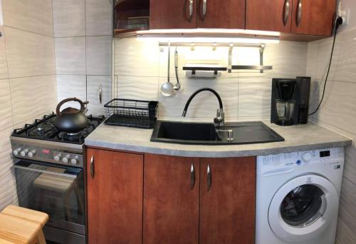 Apartament Datini, 40 m2 في كاليش: مطبخ مع مغسلة وغسالة ملابس