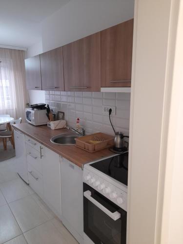 a kitchen with a sink and a stove top oven at Apartman 8 in Vrdnik