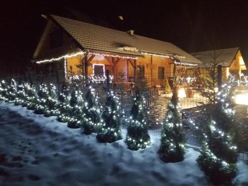 a row of christmas trees in front of a house at Drewniany Domek Daria i Tomek 2 domki na 8 osób in Stronie Śląskie