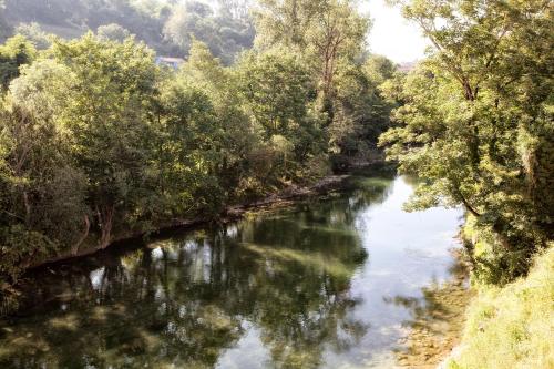 a river with trees on the side of it at Hotel Covadonga in Cangas de Onís