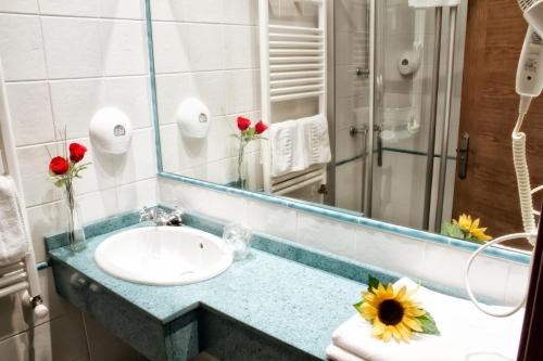 a bathroom with a sink and a mirror at Hotel Covadonga in Cangas de Onís