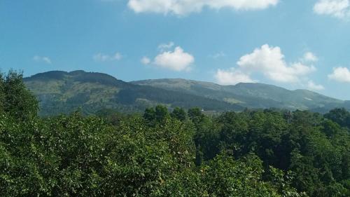Galkotuwa Estate – Photos 5