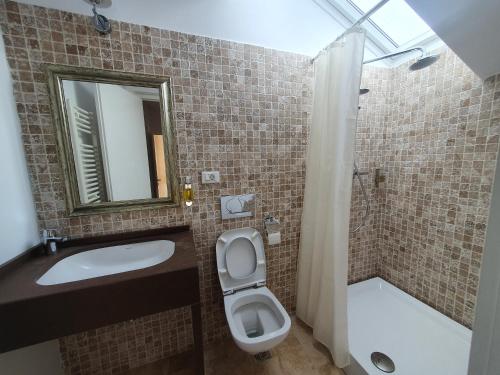 Apart Hotel Vlad Tepesにあるバスルーム