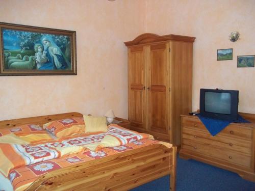 a bedroom with a bed and a tv on a dresser at Pension Familia in Harrachov