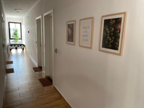 a hallway with three pictures on a wall at ALPIN rooms in Topliţa