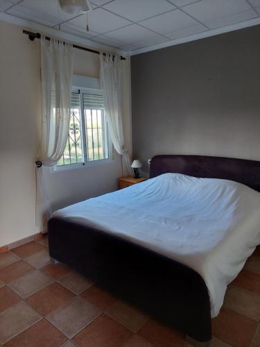 una camera da letto con un letto grande con una finestra di Mas Solana a Huércal-Overa