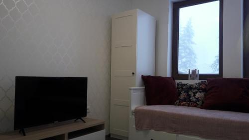 Gallery image of Apartman i studio Žuta dunja in Kopaonik