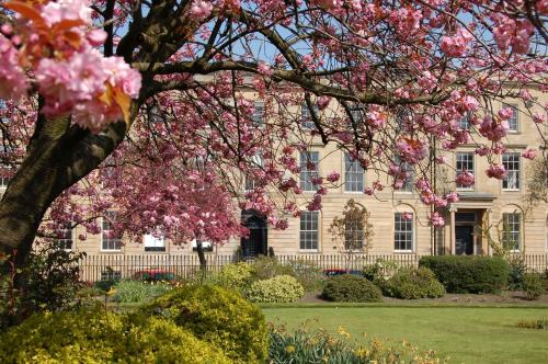 a tree with pink flowers in front of a building at Kimpton Blythswood Square Hotel & Spa by IHG in Glasgow