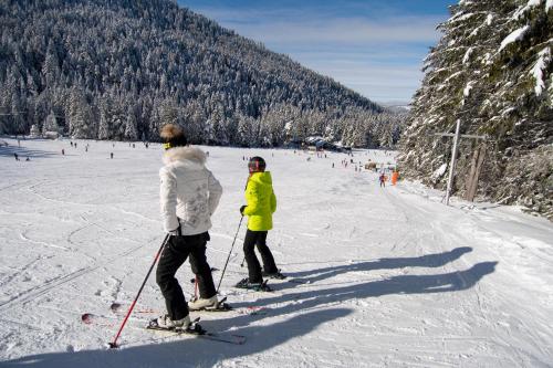 Afbeelding uit fotogalerij van Hotel Malyovitsa in Govedartsi