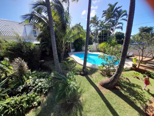 a view of the backyard of a house with a swimming pool and palm trees at La Rose du Sud in Saint-Joseph