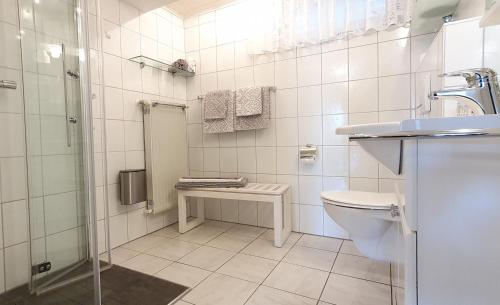 een badkamer met een toilet, een wastafel en een douche bij Gästezimmer-Apartment Heidi Hönl in Buergstadt